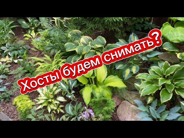 Хосты будем снимать? Если да, то пишите в комментариях свои пожелания.