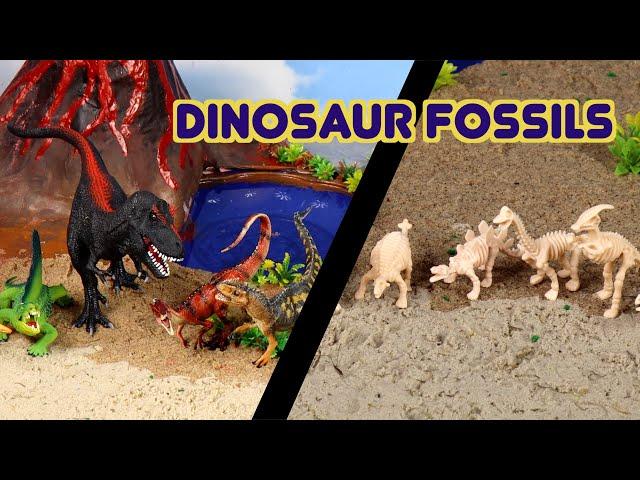 Digging for Dinosaurs: Discovering Herbivores and Carnivores!