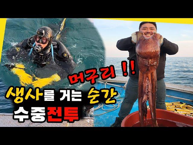 산소공급 줄 한가닥에 의지해 생사를 걸었던 수중전투!!! (ft.머구리 잠수부 어업)