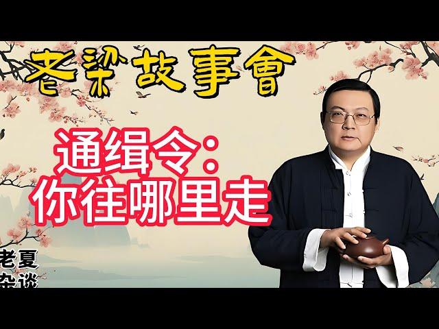 《老梁故事會》【追捕罪惡】揭秘通緝令背後的故事：從傳統到創新，如何利用懸賞和社會力量捕捉逃犯？#老梁故事会#梁宏达#老夏杂谈#通緝令背後 #懸賞追捕 #犯罪分子抓捕 #社會力量 #公安懸賞