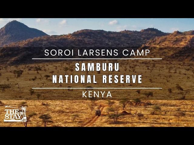 Samburu & Soroi Larsens Camp - A Luxury Desert Safari with Unique Animals in Kenya | The Stay TV