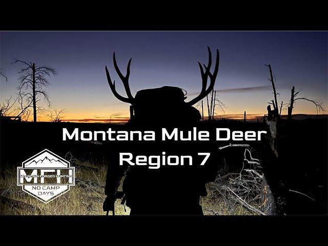 2024 Montana Region 7 Mule Deer Hunt **3 Kill Shot Video**