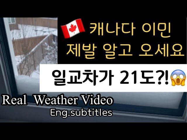 (*Eng) 캐나다 겨울 날씨 특징 Edmonton Weather | Street View #캐나다날씨