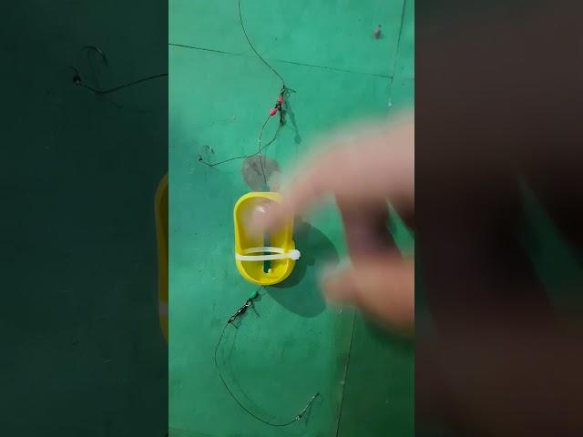 ТОЛЬКО ЧТО РАССЕКРЕТИЛИ РЫБОЛОВНЫЙ  МОНТАЖ, КОТОРЫЙ ЛОВИТ РЫБУ МЕШКАМИ  #shorts