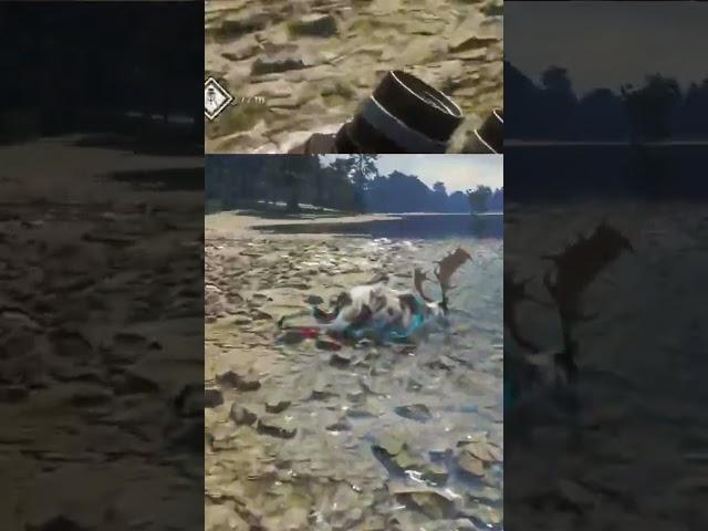Super Rare Fallow with the Bow! | #sirrwyatt on #Twitch