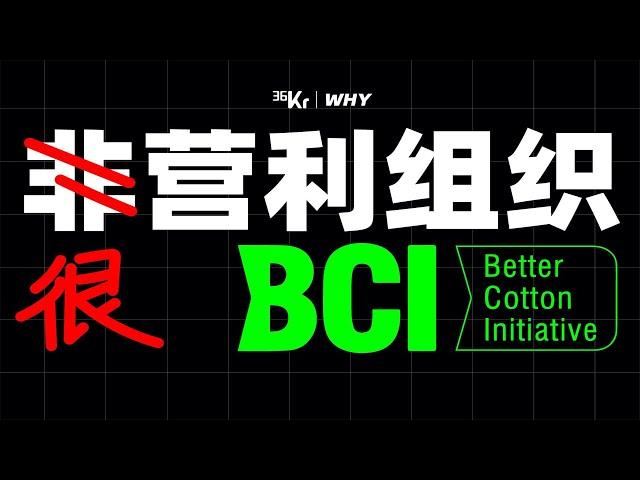 【36氪】从BCI，我们揭开了“非营利NPO组织”的生意经