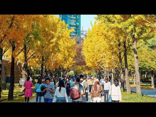 Autumn in Seoul: A Colorful Tour of Fall Foliage at Seoul Forest | Travel Korea 4K HDR