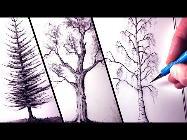 How to Draw Trees