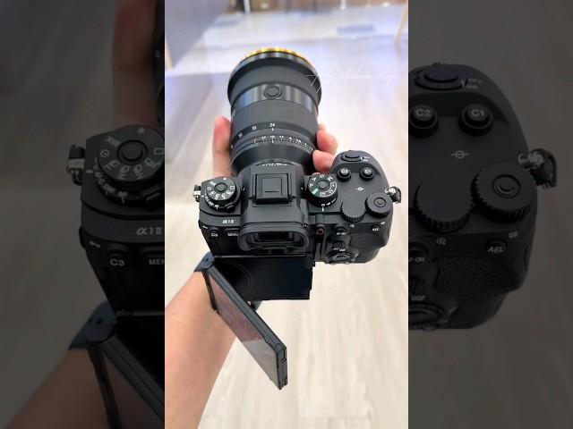 Sony α1 II Hands-On Review with the 24-70mm GM Lens: Next-Level Gear? | 4k #sony
