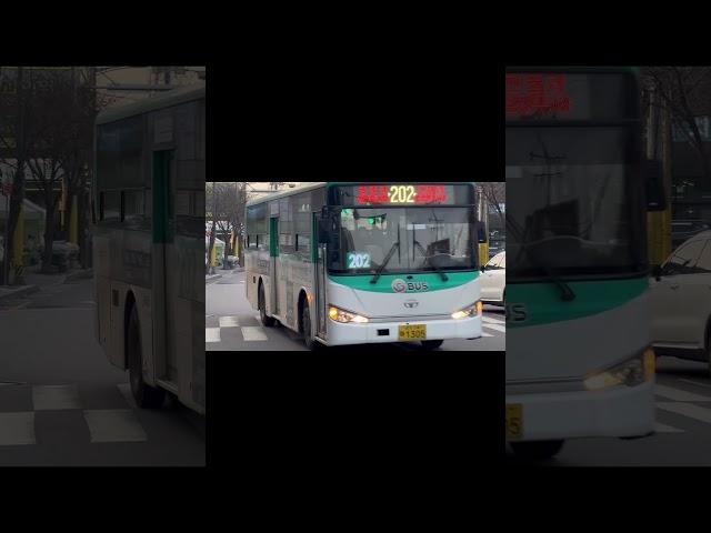 202번 1305