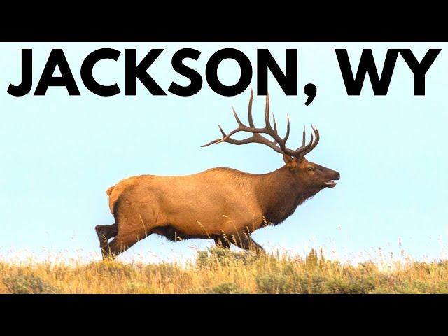 The Best of Jackson, Wyoming: 14 Great Things to Do!