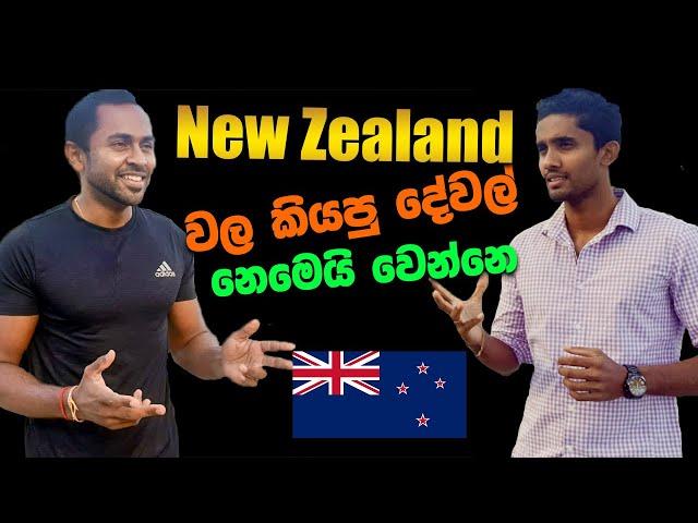 Sri Lankans | Study in New Zealand | NZ වල කියපු දේවල් නෙමෙයි වෙන්නෙ   