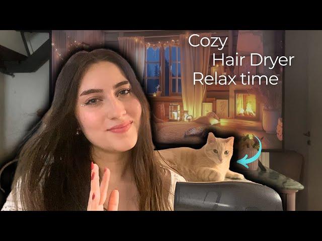 Relaxing Moments: Hair Dryer Sound and My Cat’s Company