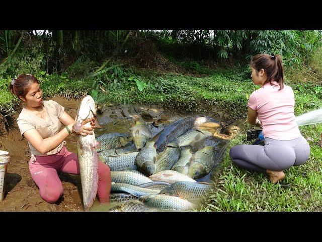 Top Videos: Fishing Girl, Fishing skills, Use Motors to Suck Water, Harvest Many Fish