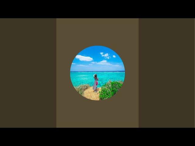 【ライブ配信】晴れた沖縄のビーチ️