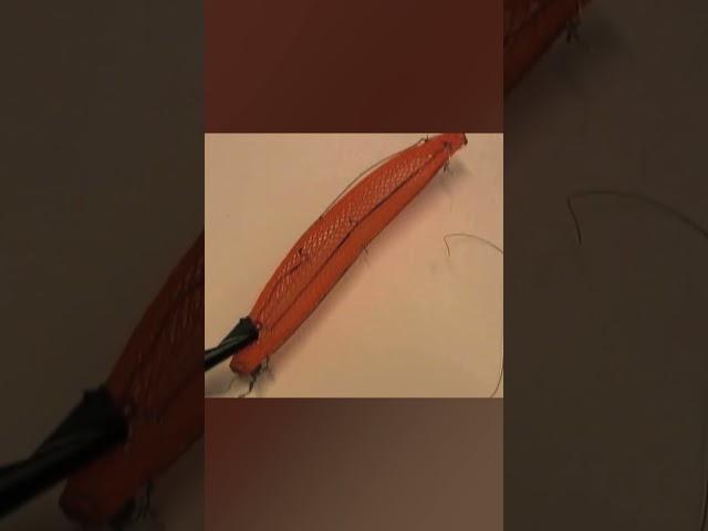 This robot mimics earthworms