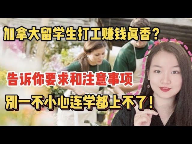 加拿大留学生想打工赚钱没问题 | 要求和注意事项要提前知道 | 如果你是留学生，会边上学边赚钱吗？