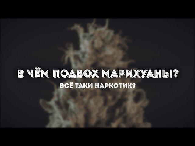 МАРИХУАНА: плюсы, минусы и подводные камни. Всё, что нужно знать о КАННАБИСЕ!