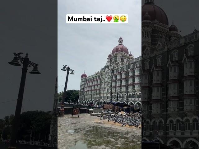 Travel in Mumbai ||indian Famous Hotel ||love in Mumbai ||Mumbai she beach ||Mumbai hotel shorts