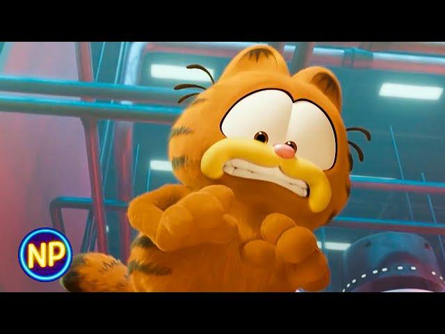 Garfield Gets Captured by Animal Control | The Garfield Movie (2024) | Now Playing