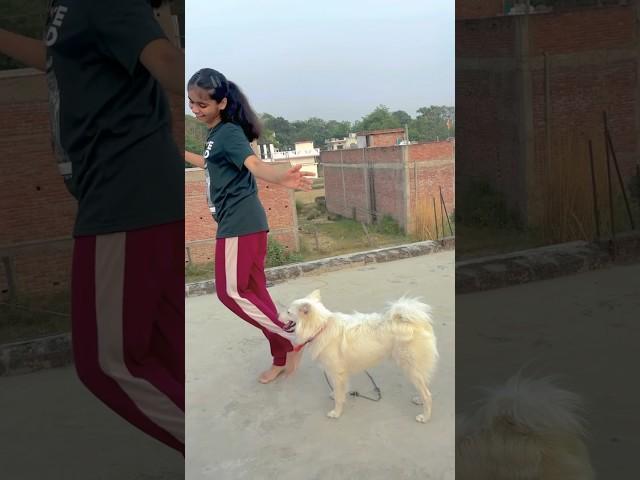 Haye oye #viralvideo #ytshorts #trendingshorts #dancevideo #viralshorts #tanusaksham