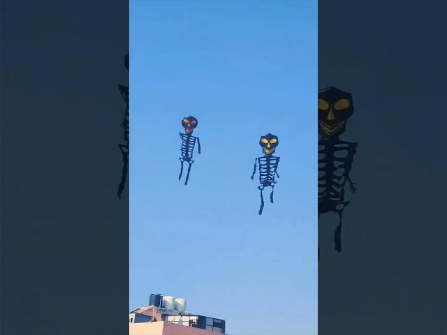 two bhoot kites 🪁#patang #kite #kiteflying#pipa #kitefestival #15august