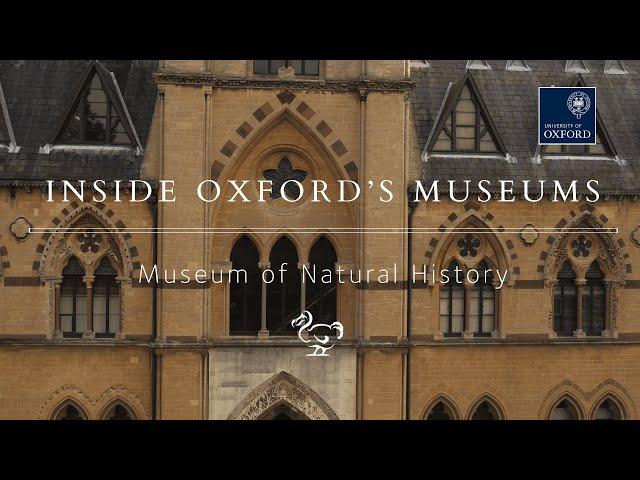 Inside the Oxford University Museum of Natural History