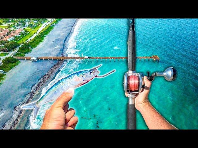 Pier Fishing: It's been YEARS Since This Happened... (Catch, Clean & Cook)