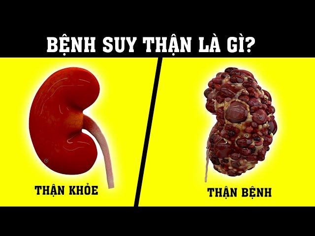 Suy thận - Chạy thận là gì? Hiểu rõ trong 5 phút