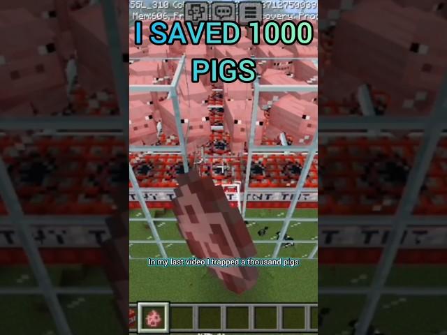 How To Save Minecraft Pigs #gaming #minecraft