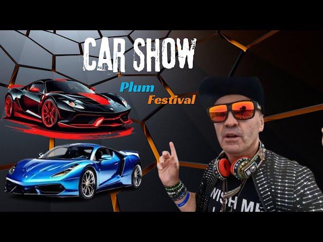 Mr Wig Explores the Best Cars at Pershore Plum Festival 2024