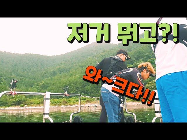 [문어&무늬오징어] 머~선 일이고?!!(feat. 꼬시락TV)