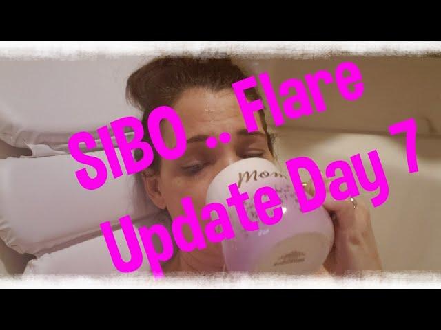 SIBO...Flare... Pre Elemental Diet...Day 7| Lisa Monoson