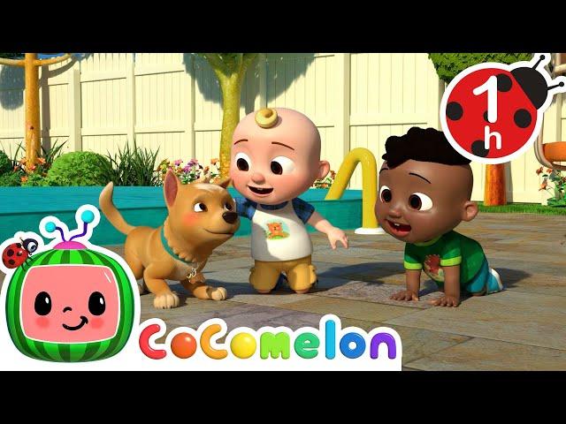 Furry Friends | CoComelon | Nursery Rhymes for Babies