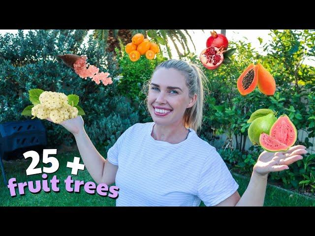 FULL FRUIT TREE TOUR || Urban Permaculture Garden on a 720 sqm suburban property