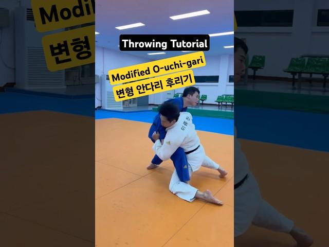변형 안다리 후리기(Modified O-uchi-gari) #유도 #안다리 #judo #judovideo #judotraining #bjj #JiuJitsu #uniquejudo