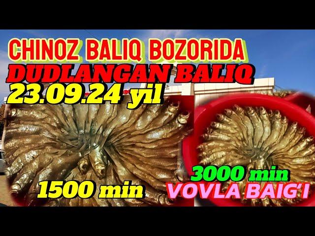 CHINOZ BALIQ BOZORIDA 1500 MINGDAN 3000 GACHA