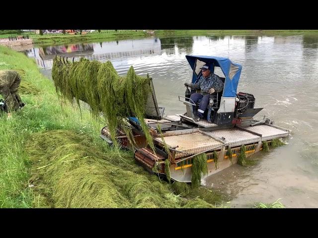 Чистка пруда, покос травы и водорослей