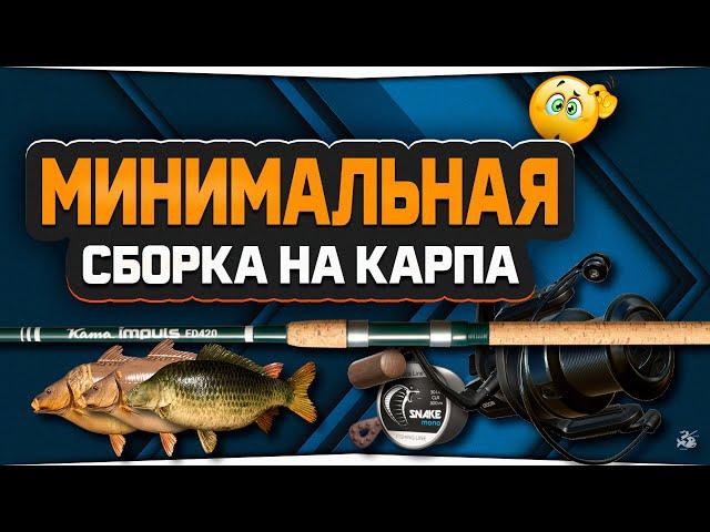 Минимальная сборка для ловли Карпов в Русской Рыбалке 4