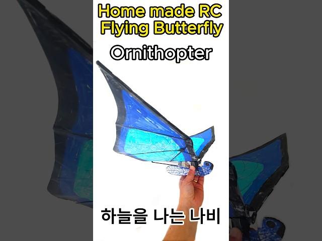 Home made RC Flying Butterfly_하늘을 나는 나비_Ornithopter #shorts #Ornithopter #Flapping_Wing #RC나비