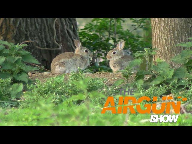 The Airgun Show – summer rabbit ambush, PLUS improve your spring gun accuracy…