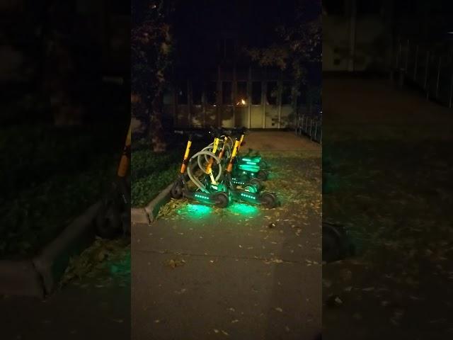 Moscow "fireflies"