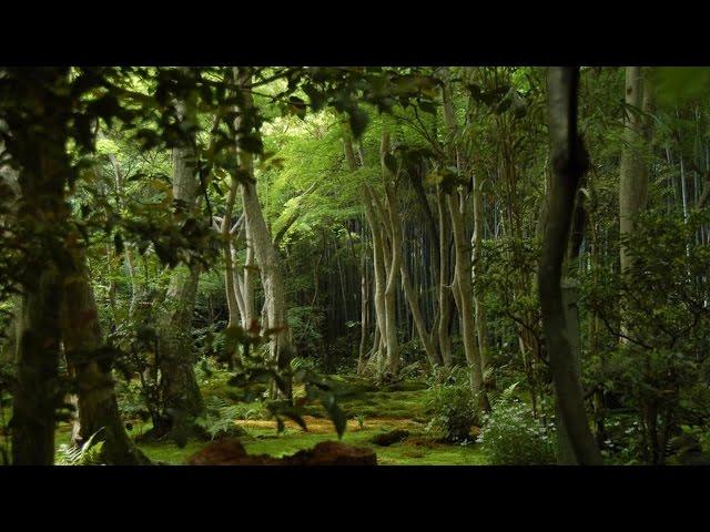 In Search Of Eden [Documentary]