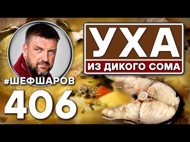 Уха из дикого сома. Рыбный суп. #шефшаров #500супов #русскаякухня #куриныйсуп #рыбныйсуп #уха