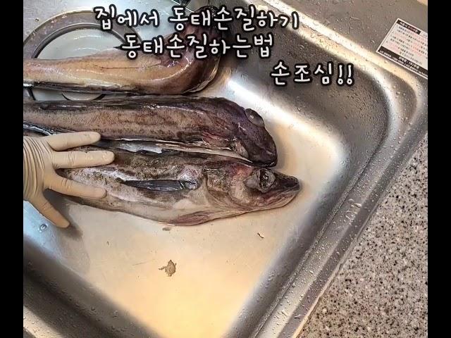 동태손질 이렇게 하면 비린내 완벽!