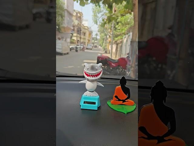 Dancing Shark in my Car
