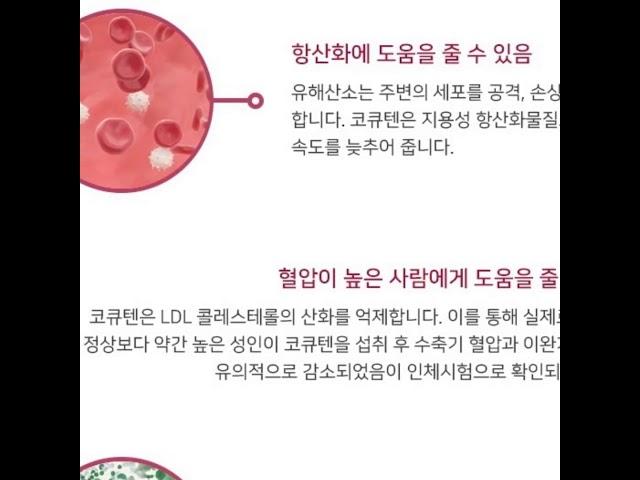 코엔자임큐텐