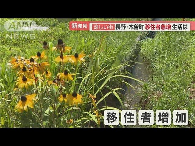 夏の夜に羽毛布団の取り合い…「避暑地の中の避暑地」長野・木曽町　移住者3倍以上に【羽鳥慎一 モーニングショー】(2023年8月30日)