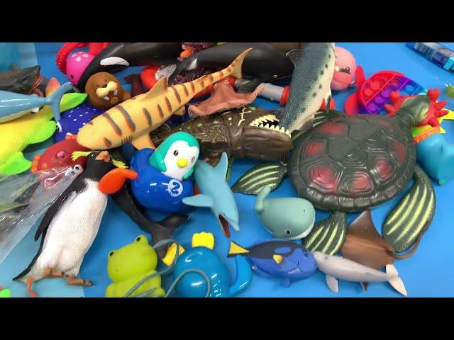 Jaw-some Unboxing: Shark Toys and Sea Animal Fun Facts for Kids