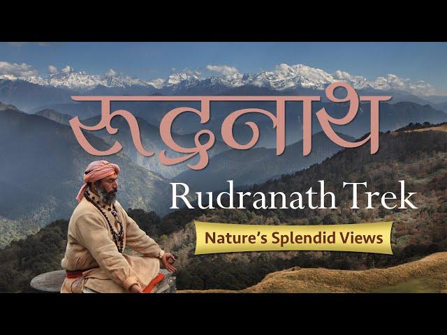 #rudranathtrek रुद्रनाथ यात्रा - Nature's Splendid Views #panchkedar #mahadev #himalayantrek #hiking